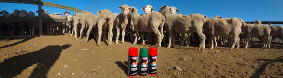 кабеля цвета Eco краски овец 500ml Plyfit отмечать краска для пульверизатора дружелюбного животная отмечать