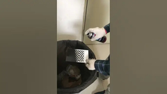 Акриловая аэрозольная краска для внутреннего и наружного применения зависит от температуры нанесения